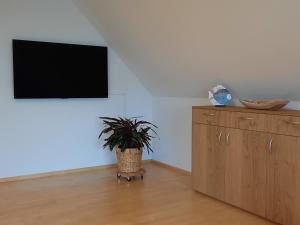 a living room with a tv and a potted plant at Ferienwohnung Hafftraum in Liepgarten