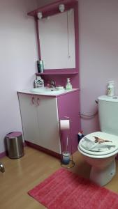 a bathroom with a sink and a toilet at Maison de Caractère Maryann56 in Noyal-Muzillac