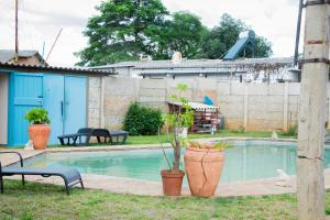 a pool with a potted plant in a yard at Neat one bedroom in Morningside guesthouse - 2089 in Bulawayo