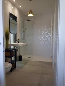 ein Bad mit einer Dusche, einem Waschbecken und einem WC in der Unterkunft Maisons T2 avec jardins privatifs - 10mn de la plage et 5mn du village - Casa di i trinelli in Vescovato