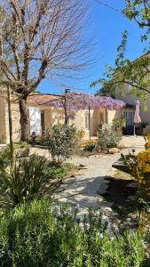 Zahrada ubytování Le mazet en été en garrigue nimoise et parking