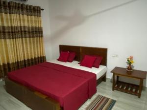 a bedroom with a bed with red pillows at Rock View Home Stay in Dambulla