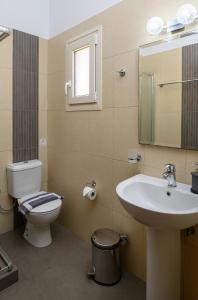 a bathroom with a sink and a toilet and a mirror at Villa Andromeda in Amorgos