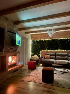 a living room with a couch and a fireplace at Villa Breza Brezovice in Brezovica