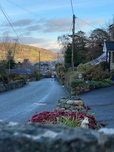 ドルゲラウにあるSnowdonia Snug - Studio Style Accommodationの自転車を乗り下ろす道