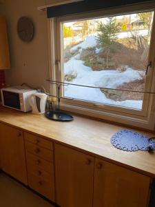 a microwave sitting on a counter next to a window at LIA in Lorenskog