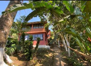 a house in the middle of a forest with trees at Cabañas cascadas encantadas in Catemaco