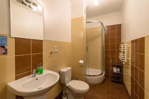 a bathroom with a toilet and a sink and a shower at Breeze Guest House in Psary