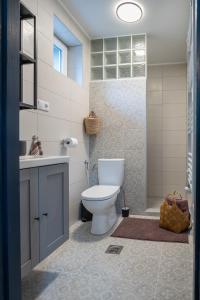 a bathroom with a toilet and a sink and a shower at Stüble Loft in Somogyhárságy