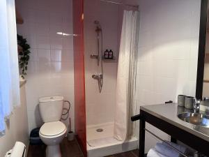 a bathroom with a shower with a toilet and a sink at Parenthèse Alsacienne in Schiltigheim