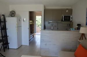 Kuchyňa alebo kuchynka v ubytovaní VUE MER- BEAU STUDIO - TERRASSE ABRITEE - Wi-Fi - CLIMATISATION - PARKING GRATUIT