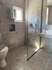 a bathroom with a shower and a toilet at XALAKAS SUMMER HOUSE in Empourios