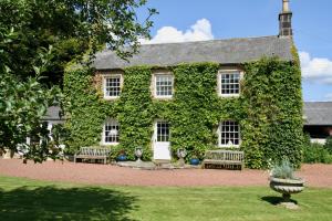 dom pokryty bluszczem z dwoma ławkami na dziedzińcu w obiekcie Thistleyhaugh farmhouse w mieście Longhorsley