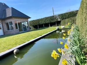 Zahrada ubytování Vakantiewoning Scheewege met zwemvijver en jacuzzi