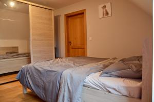 Postel nebo postele na pokoji v ubytování Vakantiewoning Scheewege met zwemvijver en jacuzzi