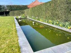 Zahrada ubytování Vakantiewoning Scheewege met zwemvijver en jacuzzi