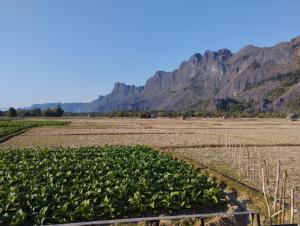 un campo de cultivos con montañas en el fondo en Konglor Khamchalern Guesthouse and Restaurant en Ban O