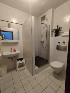 a bathroom with a shower and a toilet and a sink at Hotel Sonnenkeller in Neu Ulm