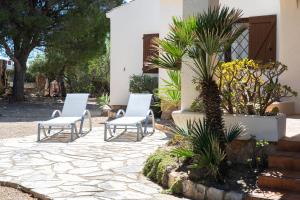 two chairs and a palm tree on a patio at Hauzify I Casa l'Estany in L'Ametlla de Mar