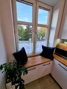 a kitchen with a window and a potted plant at Apartament Szeroka Gdańsk, Stare Miasto in Gdańsk