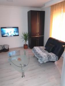 TV a/nebo společenská místnost v ubytování Apartman Hrkalovic