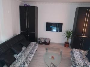 TV a/nebo společenská místnost v ubytování Apartman Hrkalovic