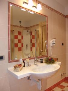 baño con lavabo y espejo grande en Jolly B&B - Affittacamere, en Dimaro