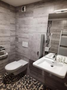 een badkamer met een wit toilet en een wastafel bij Domaine de la Plagnette in Les Salles