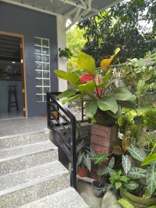 Taman di luar Tiny House Loft Style