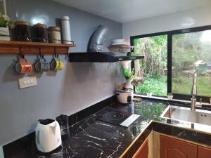 Dapur atau dapur kecil di Tiny House Loft Style