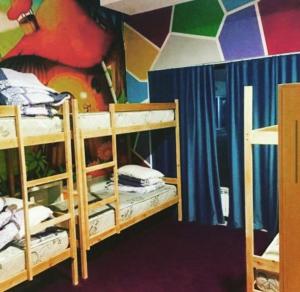 Cette chambre dispose de 2 lits superposés et d'un mur coloré. dans l'établissement Fox Hostel, à Almaty