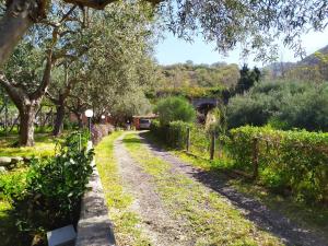 A garden outside Il Vigneto "Cottage"