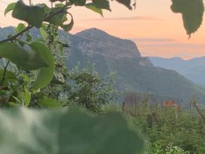 una vista de una montaña desde un campo con plantas en Къща за гости Вино от глухарчета en Borovo