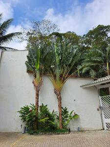 聖塞巴斯蒂昂的住宿－Casa nova com 3 quartos, equipada com Ar Condicionado, TV, Internet e Área de Lazer Completa - Boiçucanga，两棵棕榈树,在白色墙前