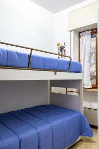 a blue bunk bed in a room with a window at Graziella House in Brenzone sul Garda