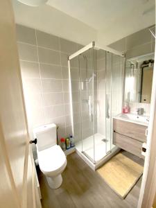 een badkamer met een douche, een toilet en een wastafel bij L'appart & de la Turdine à L'arbresle entrée autonome in Éveux