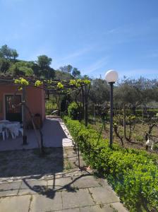 A garden outside Il Vigneto "Cottage"