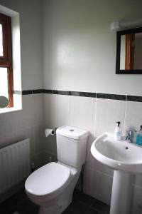 a bathroom with a toilet and a sink at The White House in Enniskillen
