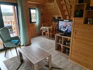 Telewizja i/lub zestaw kina domowego w obiekcie Domki nad Narwią