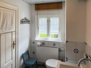 a bathroom with a toilet and a window at Friesenhaus Amrum Friesenhaushälfte *Hommelkasche* in Süddorf