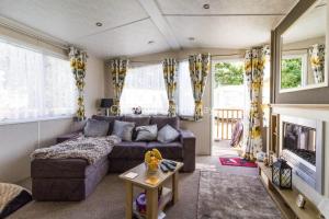 a living room with a couch and a fireplace at Brilliant Caravan With A Partial Sea View In Suffolk Ref 32026az in Lowestoft