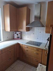 a kitchen with wooden cabinets and a stove top at DRKARLRENNER in Guntramsdorf