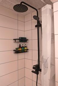 Bilik mandi di Kantreküla Apartment +14 gambar
