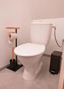 a bathroom with a white toilet in a room at Kantreküla Apartment in Viljandi