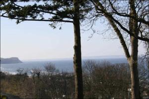 Příroda nedaleko vily