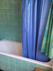 ヴェゾナにあるLa Crettaz SUNNY & QUIET apartment 6 pers by Alpvision Résidencesのバスルーム(青いシャワーカーテン付)が備わります。
