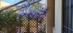 a wreath of purple flowers on a fence at Le Nove Muse Guesthouse in Florence