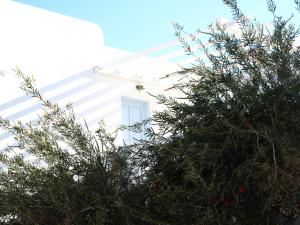 Fotografie z fotogalerie ubytování Mare Mare Mykonos v destinaci Ornos
