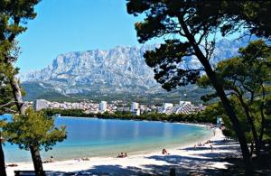 a view of a beach with a mountain in the background at Apartment Sea San in Makarska