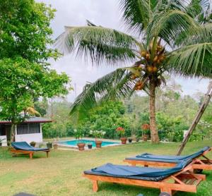 a resort with a palm tree and a swimming pool at Jeevaka Villa & Ayurveda Retreat in Galle